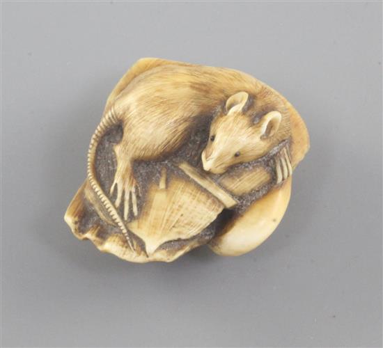 A Japanese ivory netsuke, 19th century, 4.2cm